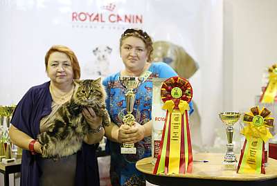    20-21  2014   1-267-169A2268 copy.jpg